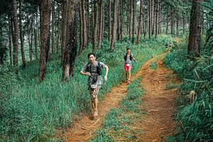 BIB: 
                            <button type="button" onclick="openModal(25701586)" class="btn btn-primary btn-sm float-right btn-popup" data-toggle="modal" data-target=".modal-high-quality">
                        <i class="fas fa-shopping-cart"></i> Add to Cart
                    </button>
                                            <button type="button" onclick="isThisMe(25701586, true)" class="btn btn-success btn-sm float-right btn-popup btn-isme hidden" data-toggle="tooltip" data-placement="bottom" title="นี่คือรูปของคุณใช่ไหม คลิกที่นี่เพื่อเอาเข้าอัลบั้ม">
                        <i class="fas fa-plus"></i> Add to album
                    </button>
                    <button type="button" onclick="isThisMe(25701586, false)" class="btn btn-warning btn-sm float-right btn-popup btn-isnotme hidden">
                        <i class="fas fa-ban"></i> Remove from album
                    </button>